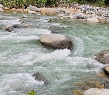 Ballena Cabin | Casitas Del Rio Riverfront Nature Lodge