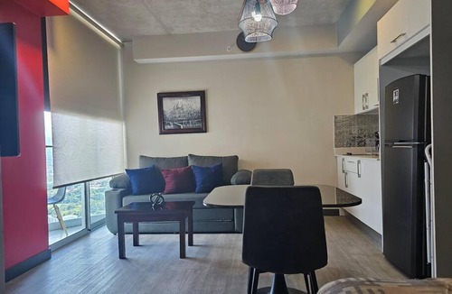 Mata Redonda Apartment | Central Loft near Sabana, Nunciatura & Stadium