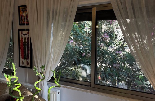 Amman Apartment | Centrally Located Bright 2 BR Apartment with Breathtaking Tropical Tree Garden!