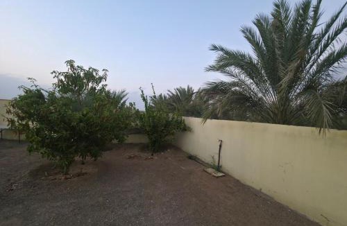 Bidiya Ski Chalet | Chalet - House -Sand Adventures Oasis - Bidiyah - Oman