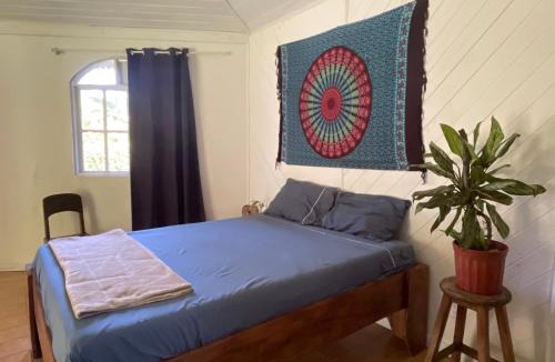 Cahuita House | Colibri Paradise