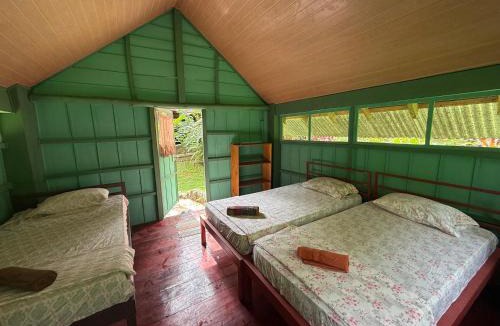 Drake Bay Cabin | Complejo Ecoturistico Tamandua
