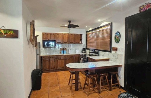 Damas Condo | Condo TiTi Manuel Antonio
