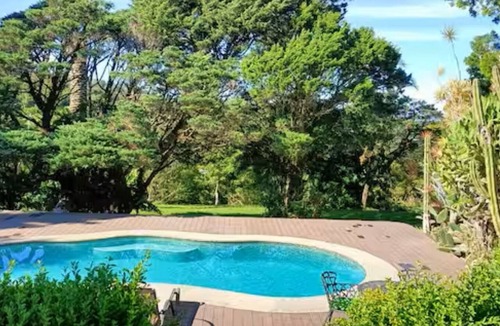 Santa Elena Apartment | Cozy apartment in Monteverde downtown, hidden in a sunny garden.
