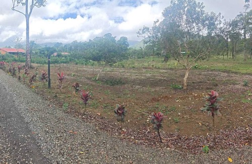 Katira Apartment | Cozy Tiny Home Retreat Facing Private Lake & Gardens. Only 1 km to Tenorio Park!