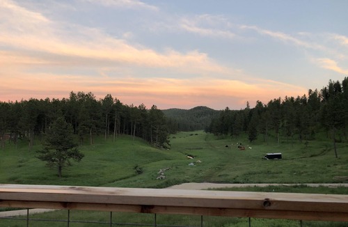 Custer House | Custer Area Retreat on 40 Acres: Hot Tub, Fire Pit, Trails & Views