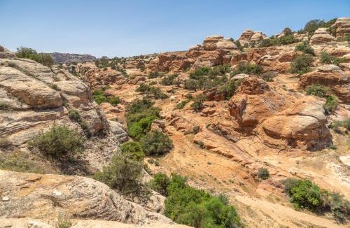 Tafilah Governorate Hotel | Dana bedouin Sky