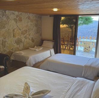 Dana Hotel | Dana