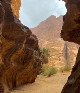 Wadi Rum Other | Desert Glow Wadi Rum