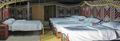 Bidiya Other | Desert Wonders Camp