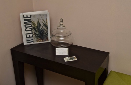 Barrio Santa Lucia Condo | Dimorian ⭐️⭐️ ⭐️⭐️⭐️ condo, pool, BBQ, one block from beach, Costa Linda, Jaco