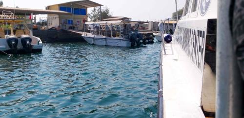 Al Jazirat Al Hamra House | Divers home