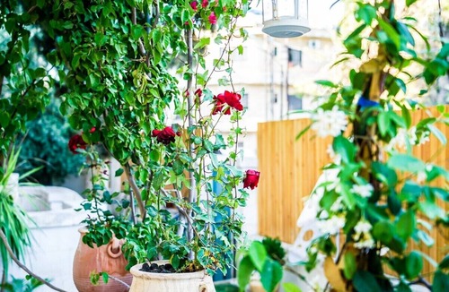 Amman Apartment | Dreamy White Minimalist 2 Bed/Bath with Garden