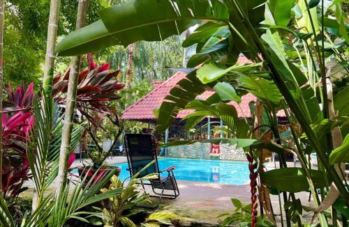 Portalon Bed & Breakfast | Eco Zaru, Experience Authentic Costa Rican Jungle & Ocean Bliss