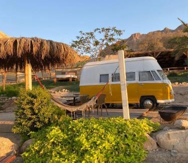 Ein Gedi Other | Ein Gedi Camp Lodge
