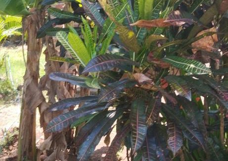 Balgue House | El Güis hostel