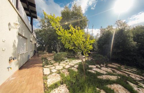 Tsiv'on Apartment | Engel apartments -אירוח למטיילים בגליל עליון