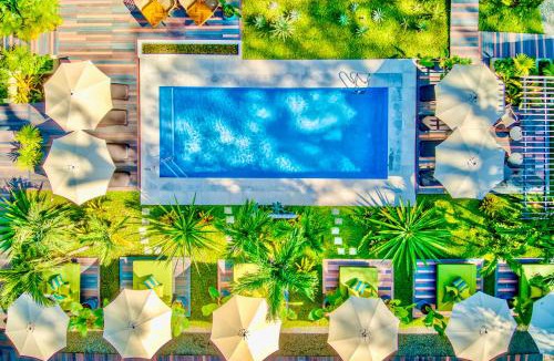 Manzanillo Hotel | Exōtico Beach Hotel