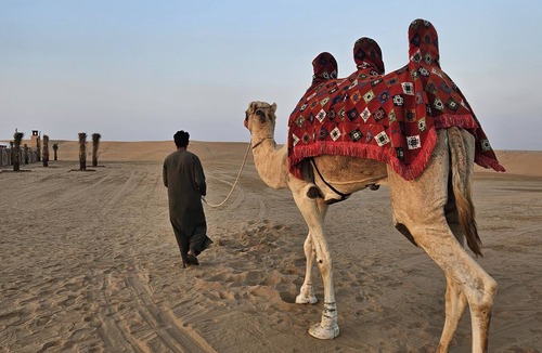Al Awir RV Rental | Exclusive Desert Camp with Private Rooms & AC