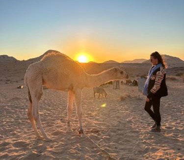 Wadi Rum Other | Fadi camp