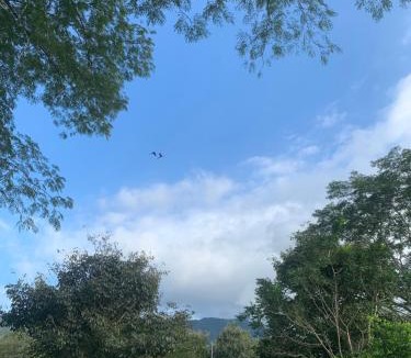 Garabito House | Finca flo