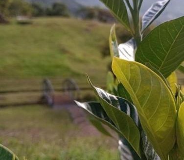 Canton Desamparados House | Finca La Gozadera