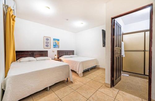 Coco Apartment | Garza 910