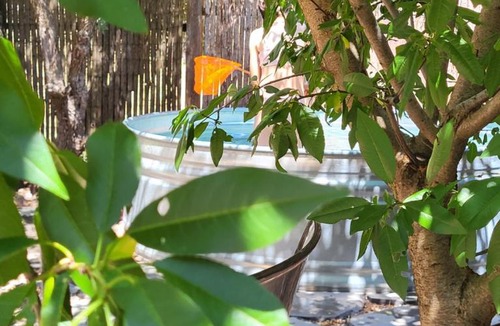 El-Rum Bed & Breakfast | Gate Away B&B Units - המקום באל רום