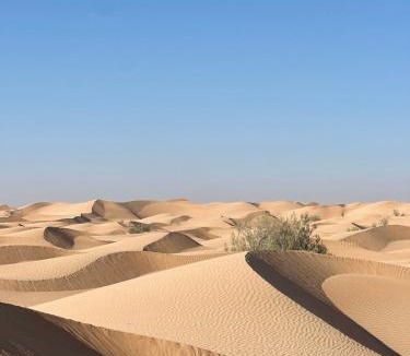Bidiya Other | Golden dune Bedouin camp
