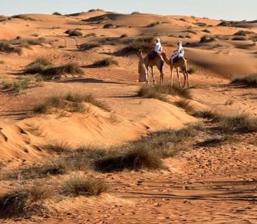 Bidiya Other | Golden dune Bedouin camp