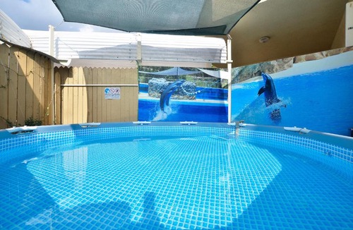 Shlomi Cabin | Golden Place