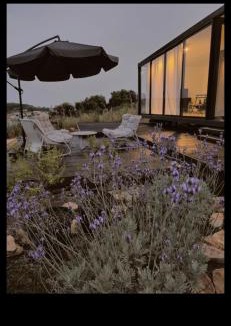 Isfiya Cabin | Goshen