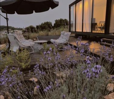 Isfiya Cabin | Goshen