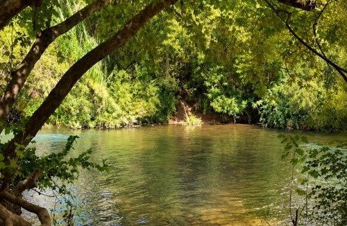 Beit Hillel Ski Chalet | Green Bus