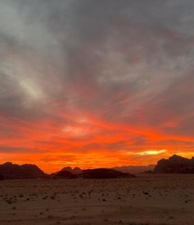 Wadi Rum Other | HALA RUM Luxury camp & Bubbles Hotel