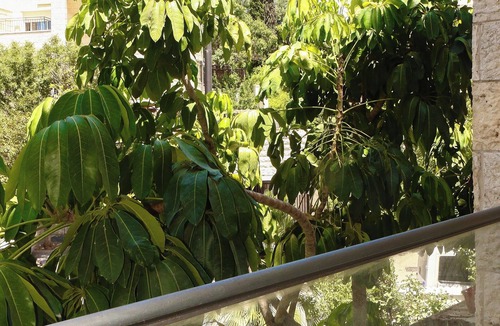 Jerusalem Apartment | HEART OF JERUSALEM APARTMENT, WIFI , 2 BEDROOMS SLEEP 6+ people with parking.