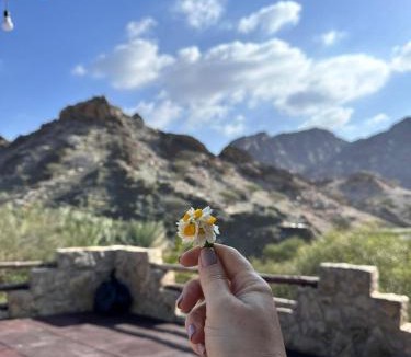 Al Kubus Other | Hiking break