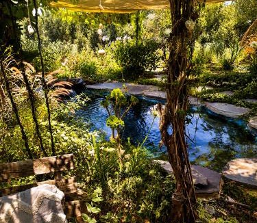 Vered Hagalil Apartment | Home for Air - 9 minutes from sea of Galilee