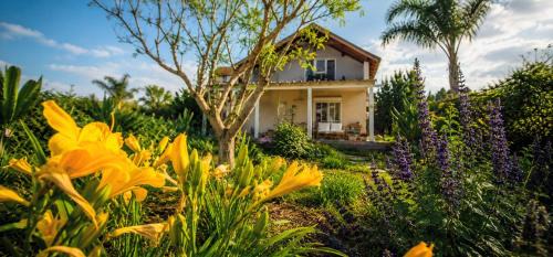 Vered Hagalil Apartment | Home for Air - 9 minutes from sea of Galilee