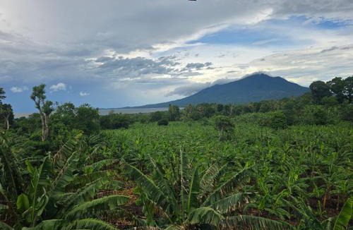 Ometepe Island House | Hostal Bullshark