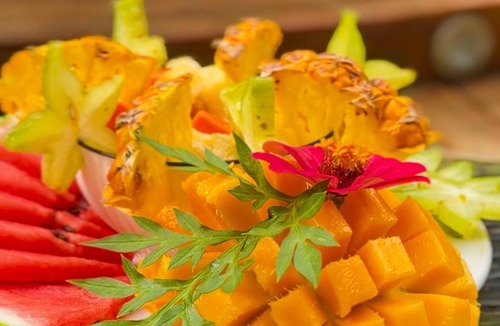 Cahuita Bed & Breakfast | Hotel Boutique Casa Mambo
