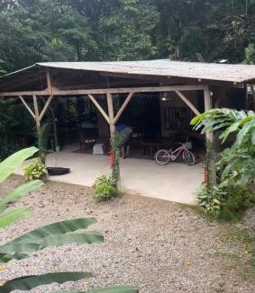 Quebrada La Gamba Cabin | Hotel La Gamba Rainforest Lodge