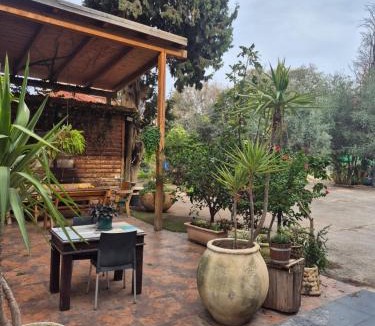 Rehovot Hotel | hotel vital