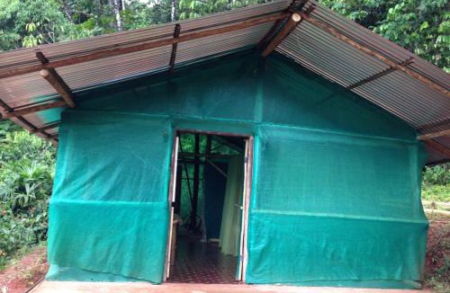 Sierpe Cabin | Isla Violin Eco-Lodge