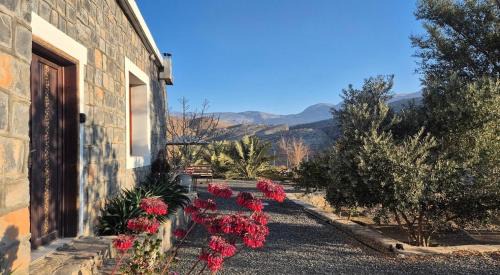 Al Hamra House | Jabal Shams Villa