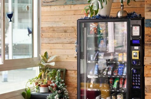 Jaffa Hostel | Jungle Jaffa Hostel Age 18 to 45