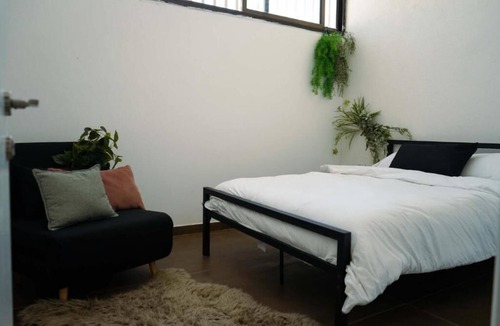 Jaffa Hostel | Jungle Jaffa Hostel Age 18 to 45