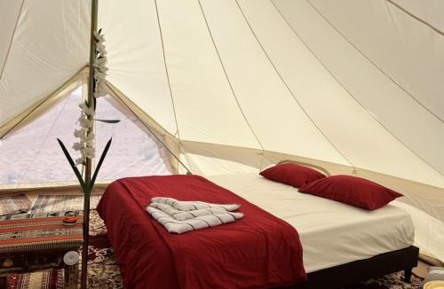 Bidiya Other | Just For You Starwatching Tent