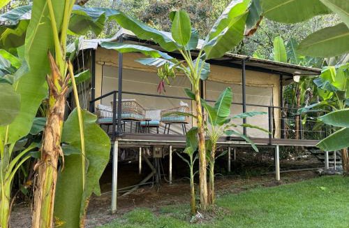 Dominical Other | KRITAJNA SAFARi LODGE