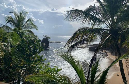 Manzanillo Apartment | La Casita Beachfront Hideaway Pool Access